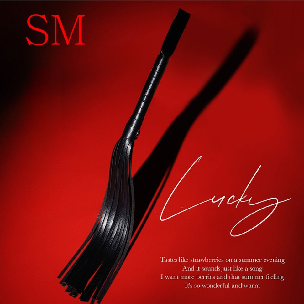 Lucky Faux Leather Whip – SM Sensory Play Flogger