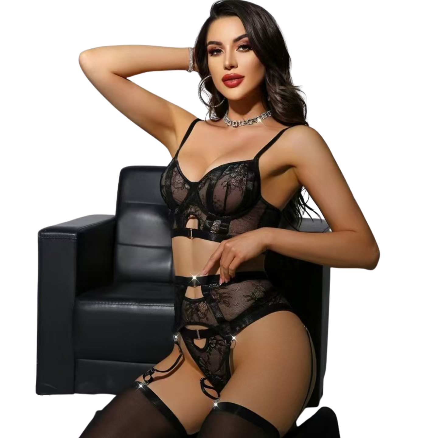 Sexy Lace Bustier & Garter Belt Set